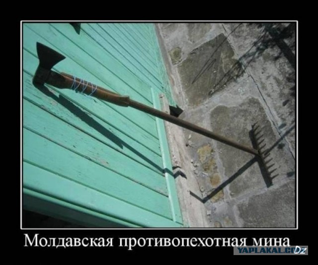 ЯП наладил производство?!