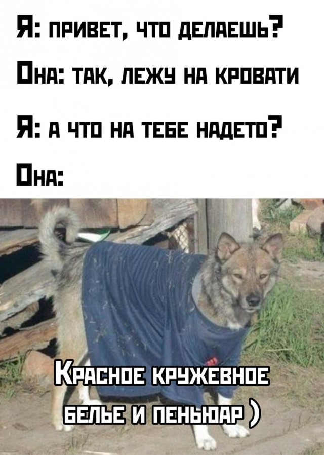 Завалялось тут случайно немного забавных картинок