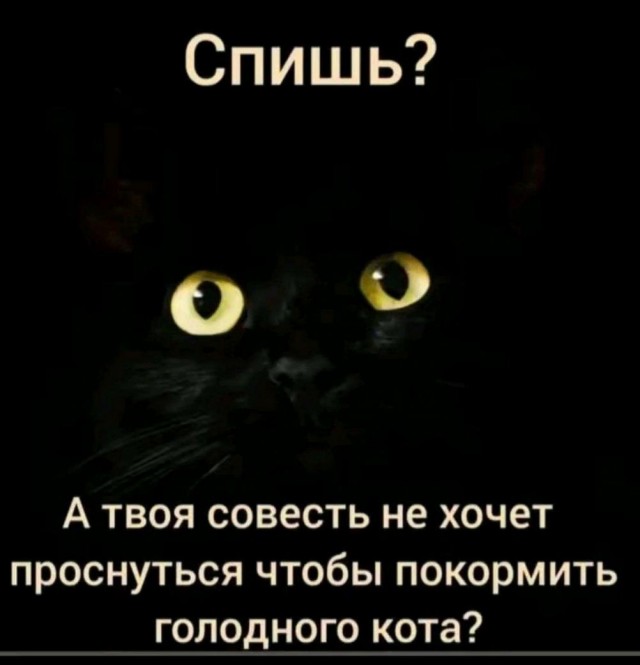 Так себе картинки 13.06.25