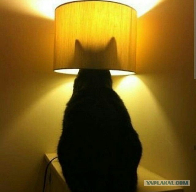 "Благодарность" от "покупателя"(