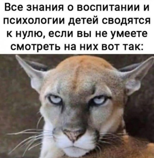 Веселые картинки в пятницу (22.08)