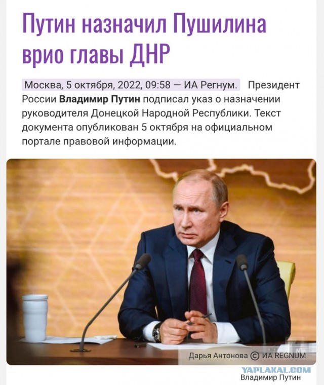 Жители ДНР призвали Путина и Бастрыкина отстранить Пушилина