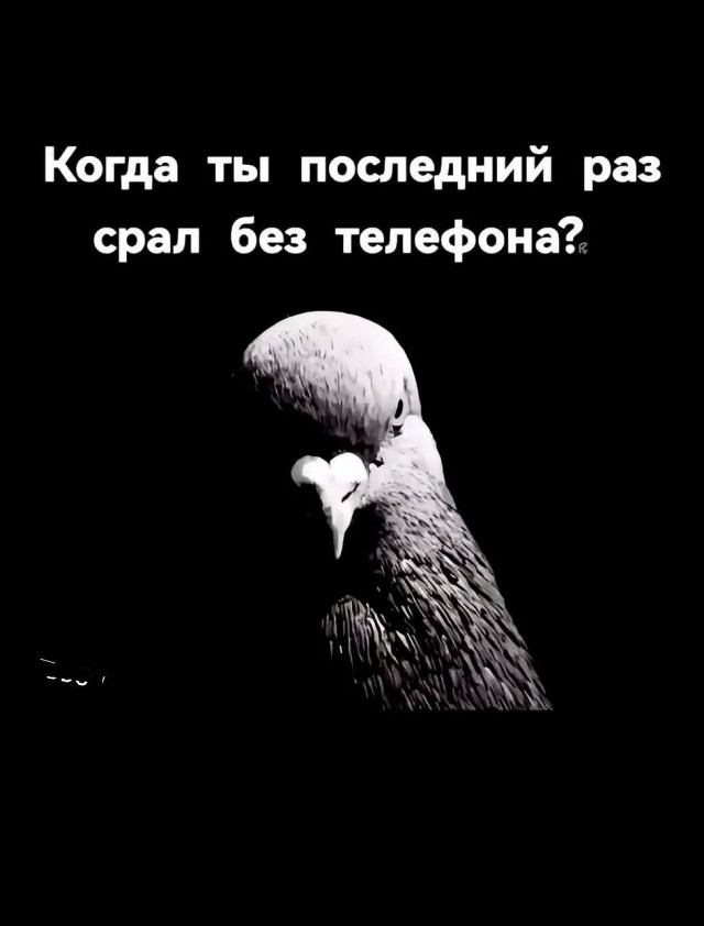 Так себе картинки 26.09.25