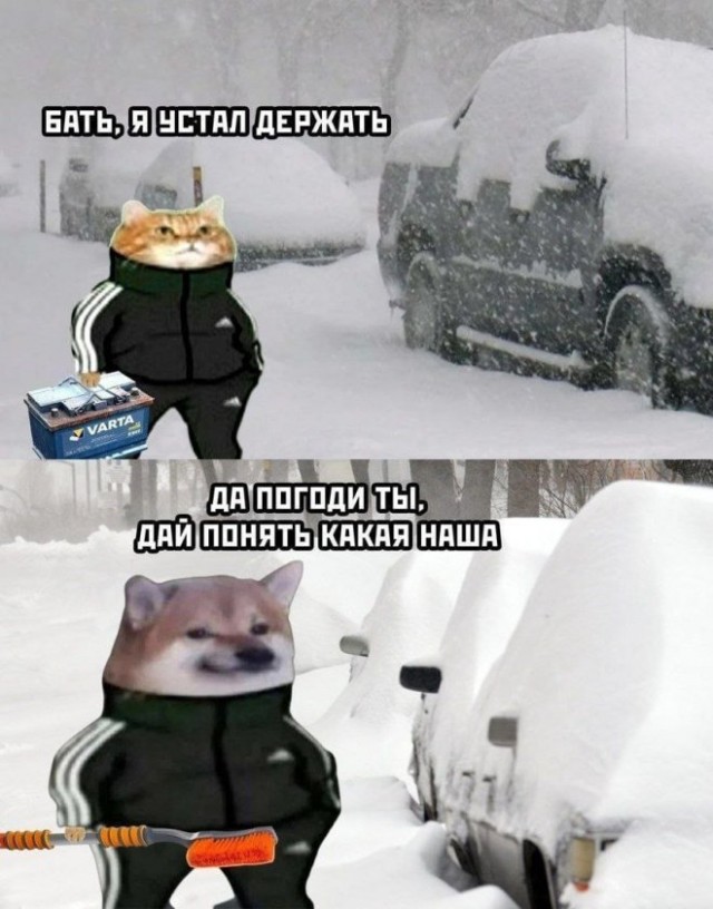 Картиночки, баянчики 08 января
