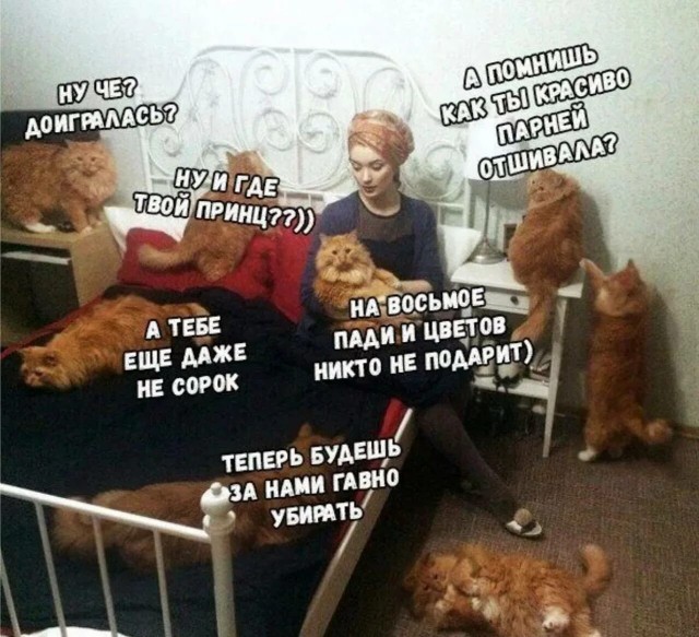 В натуре 40