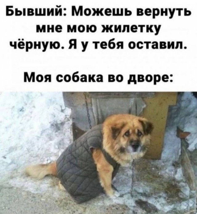 Картинки для деградации 140 (разной степени свежести)
