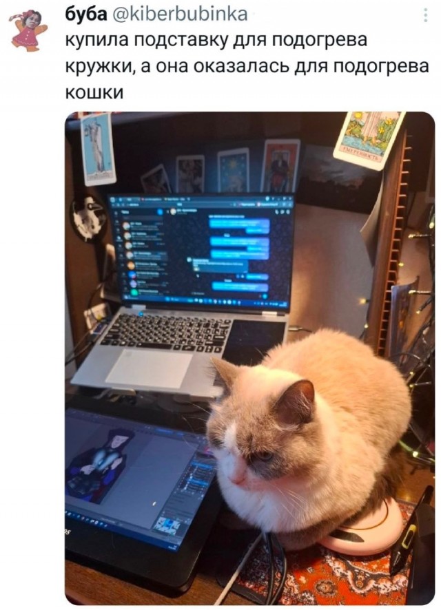 Среды картинки