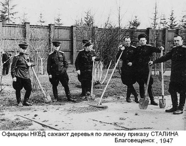 Дочь судьи погибла в «пьяном» ДТП