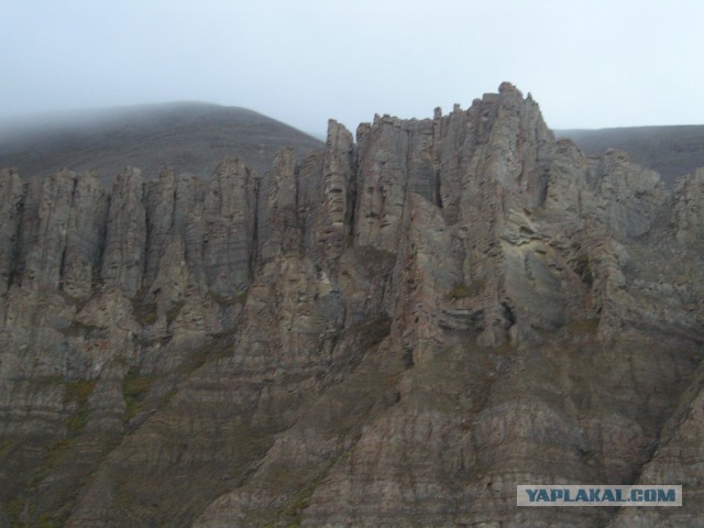 Река Лена