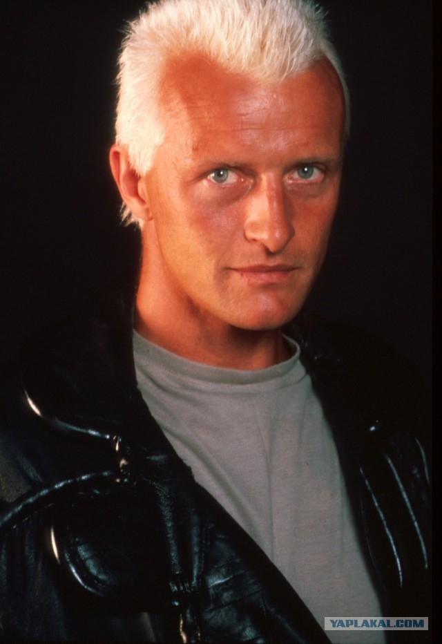Как изменились секс-символы прошлых десятилетий