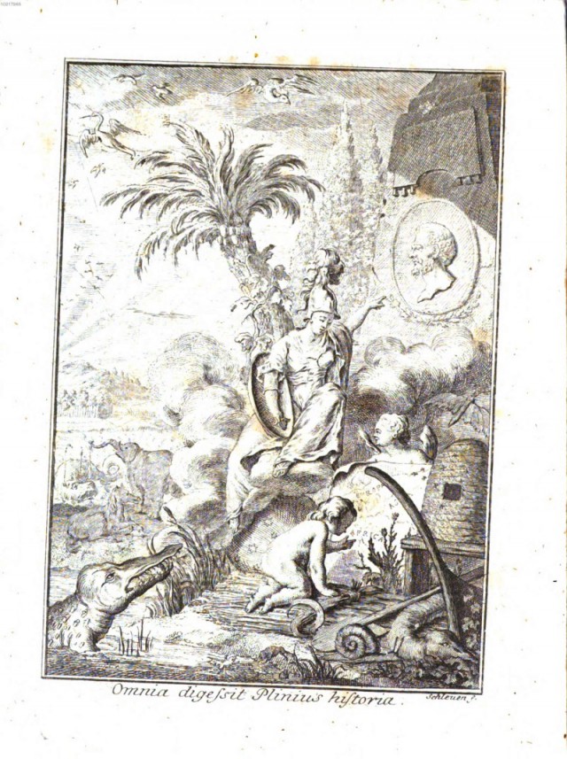 Нашел их на помойке...