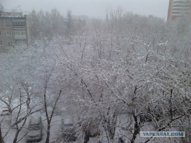 Я хочу замуж