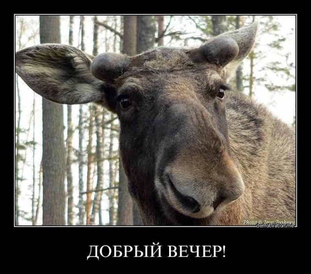 Инновационные трусы