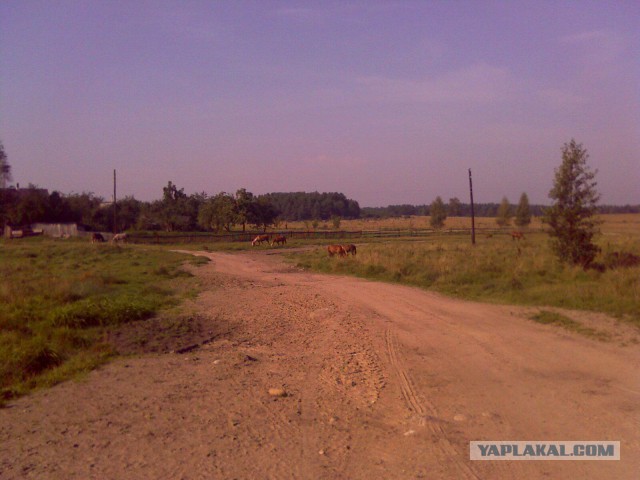 Мой ответ Польше!