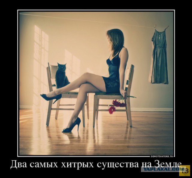 Подборка демотиваторов