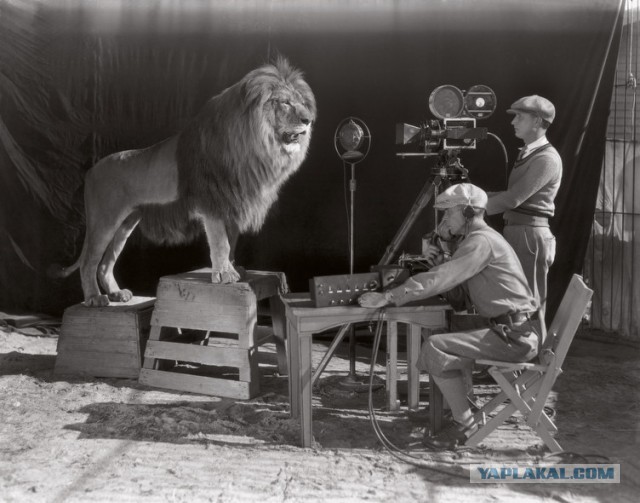 Удивительные исторические фотографии