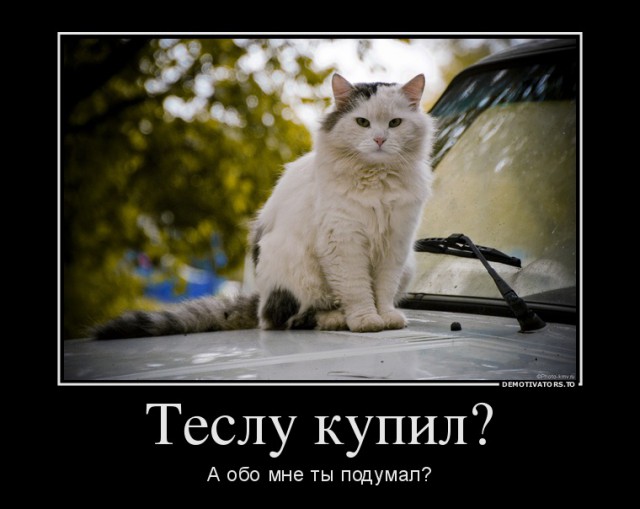 Утренний пофигист