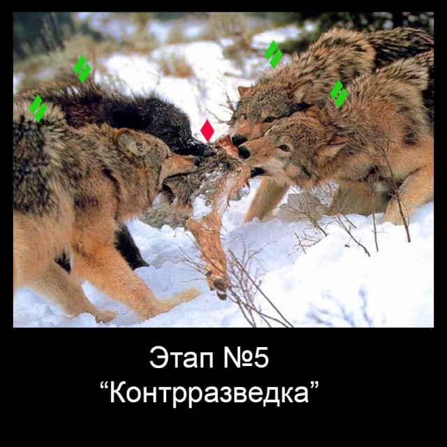 Wargaming 18