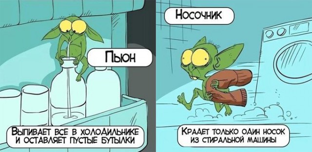 За все носки, которые съела