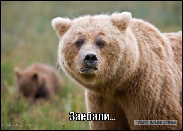 Смоленск. Десантник и роллер