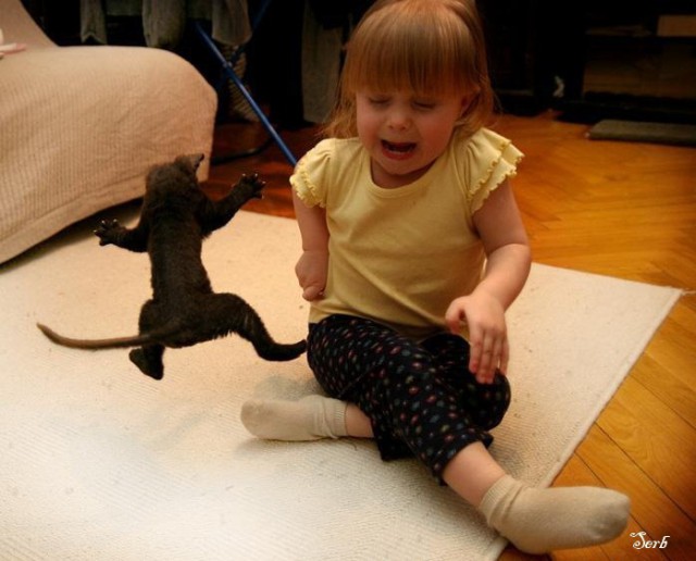 Дети и коты