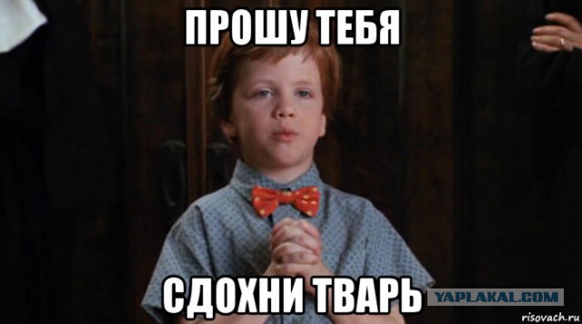 Когда ТП означает "Теперь Политическая"