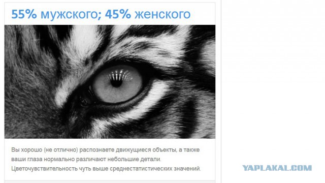 Тест: Вы воспринимаете этот мир глазами мужчины или женщины?
