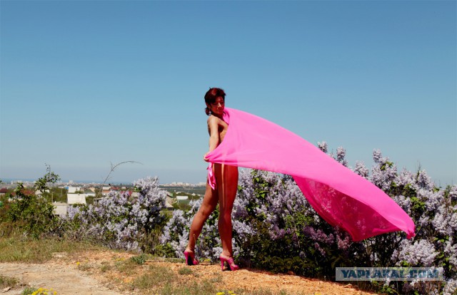 Подборка картинок из сети