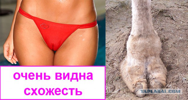 Картинки с инета про это