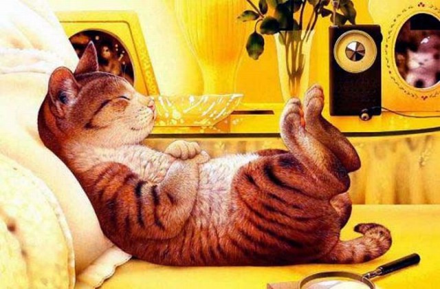 Демы к котовторнику!