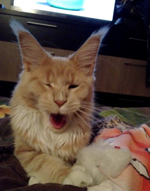 Интересные и веселые картинки