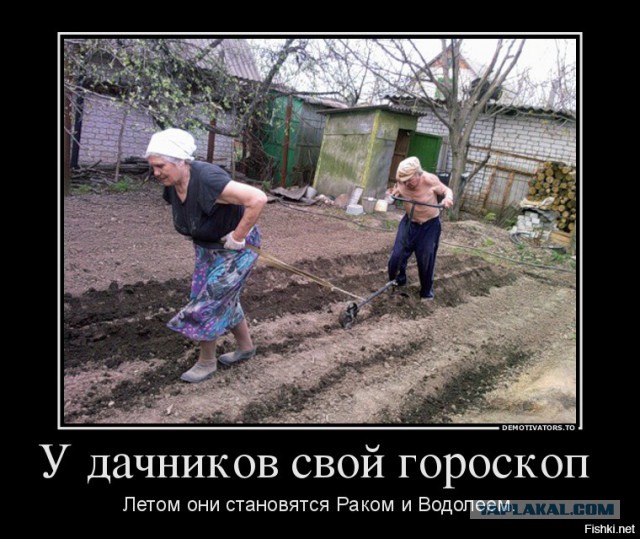 Вот почему я так люблю приезжать на дачу!