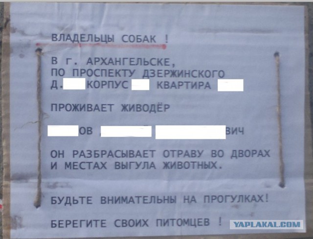 В Омске догхантеры отравили собак, гулявших с хозяевами