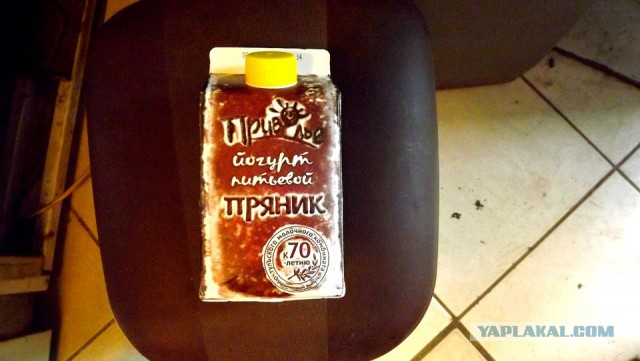 Другая Россия