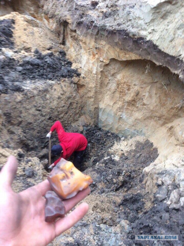 Копают все: на севере Украины продолжается янтарная лихорадка