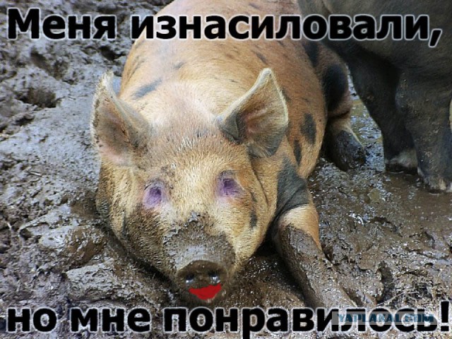 После секса в подъезде москвичка не смогла определиться, насиловали её или нет