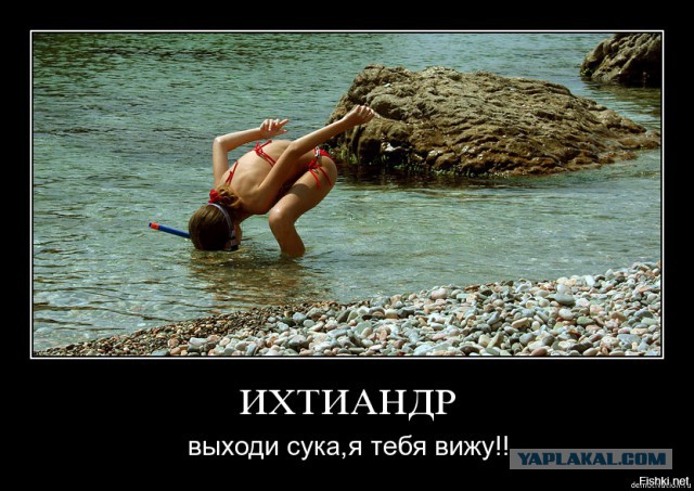 Картинки разнобезобразные, юмор спецефический
