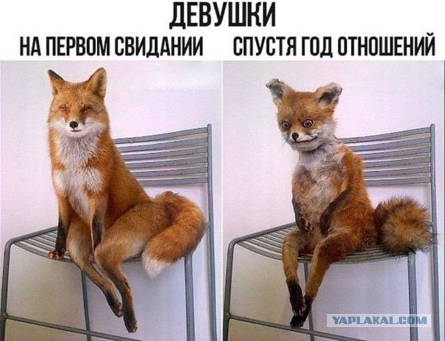 Давно мы не мизантропизировали...