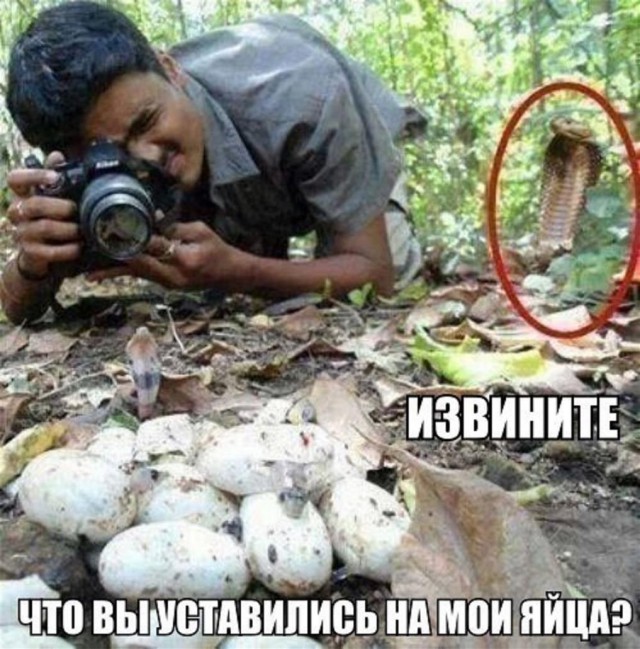 Прикольные картинки абавсём