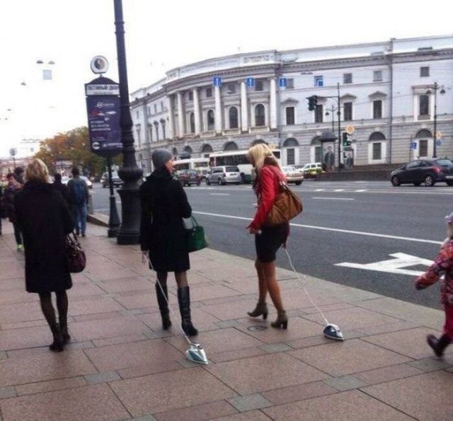 Лента прикольных картинок