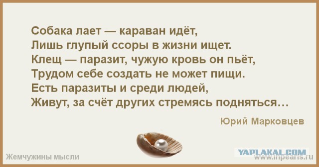 Россия приступает к эвтаназии США