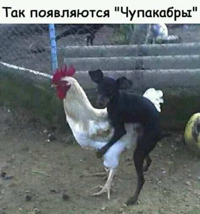Немного картинок для настроения