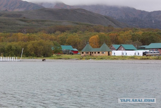 Камчатка, я вернулся, или как мы спали с ружьями