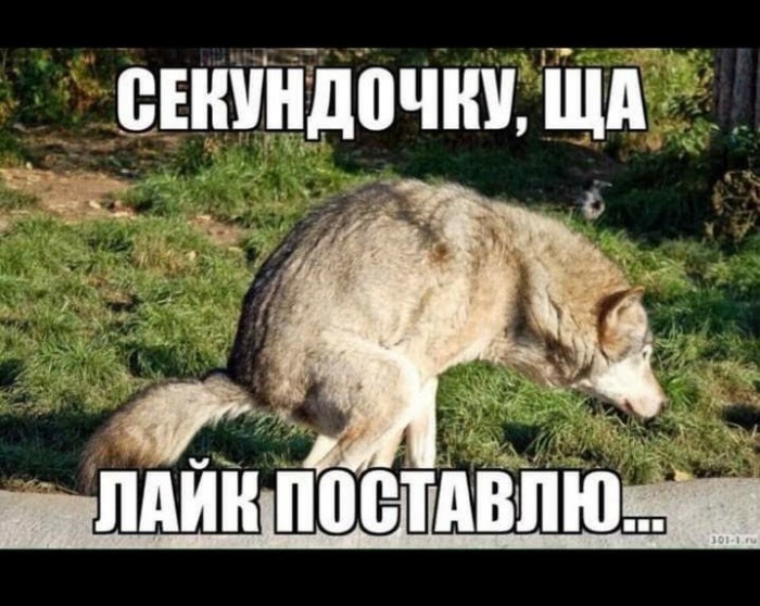 Даёшь картинкой по понедельнику
