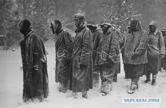 Чем удивляли красноармейцев сухие пайки солдат вермахта