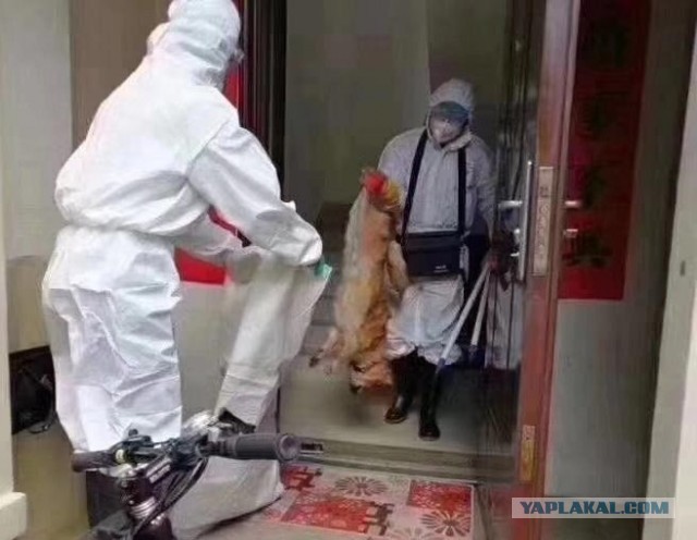 Про Китай и коронавирус. Часть 3.