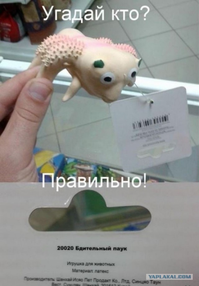 Немного картинок и демотиваторов со старого винта