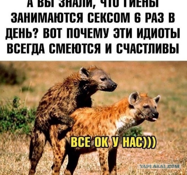 Когда мужчине пора снизить планку