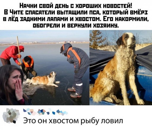 Так себе картинки 03.07.20
