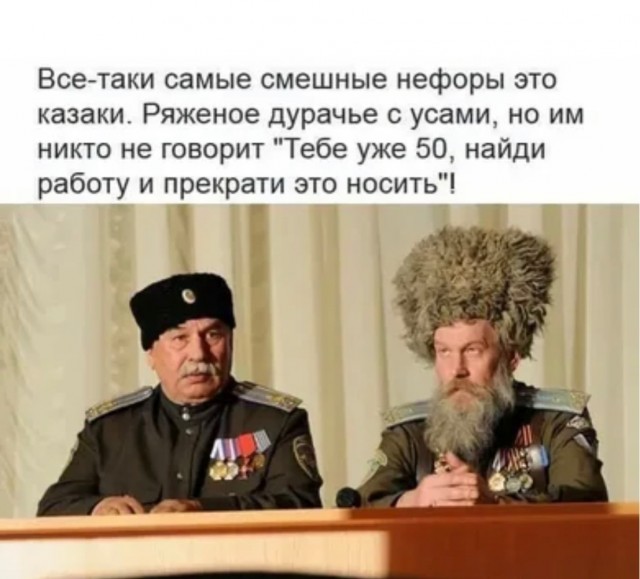За что еще люди не любят казаков?